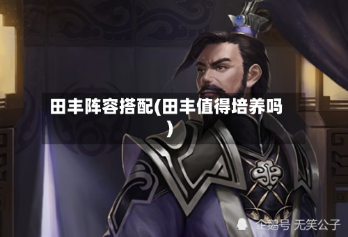 田丰阵容搭配(田丰值得培养吗)