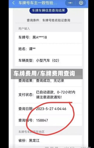 车牌费用/车牌费用查询-第2张图片