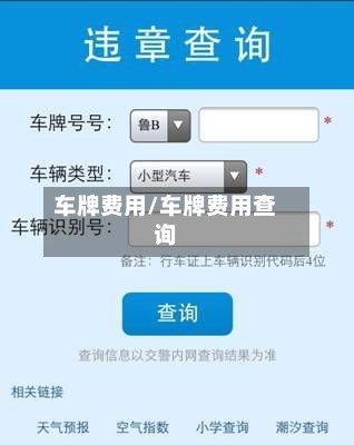 车牌费用/车牌费用查询-第3张图片