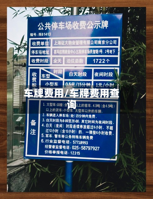 车牌费用/车牌费用查询