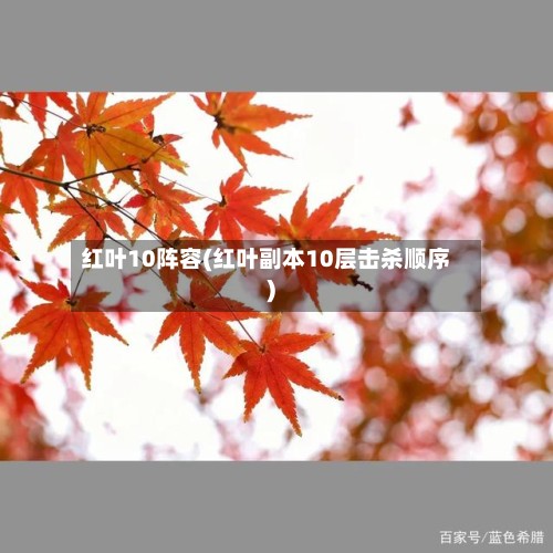 红叶10阵容(红叶副本10层击杀顺序)