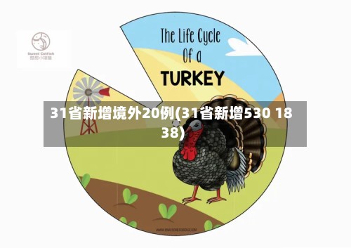 31省新增境外20例(31省新增530 1838)-第3张图片