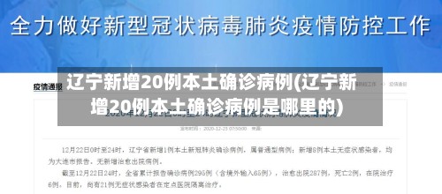 辽宁新增20例本土确诊病例(辽宁新增20例本土确诊病例是哪里的)-第2张图片